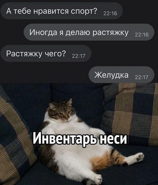Файл:Котомнение.jpg