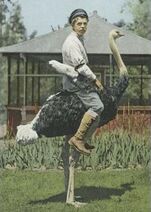 18.6.2019: Председатель должен быть где? Впереди, на лихом коне!