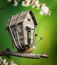 30.1.2020: Деревенская улитка.