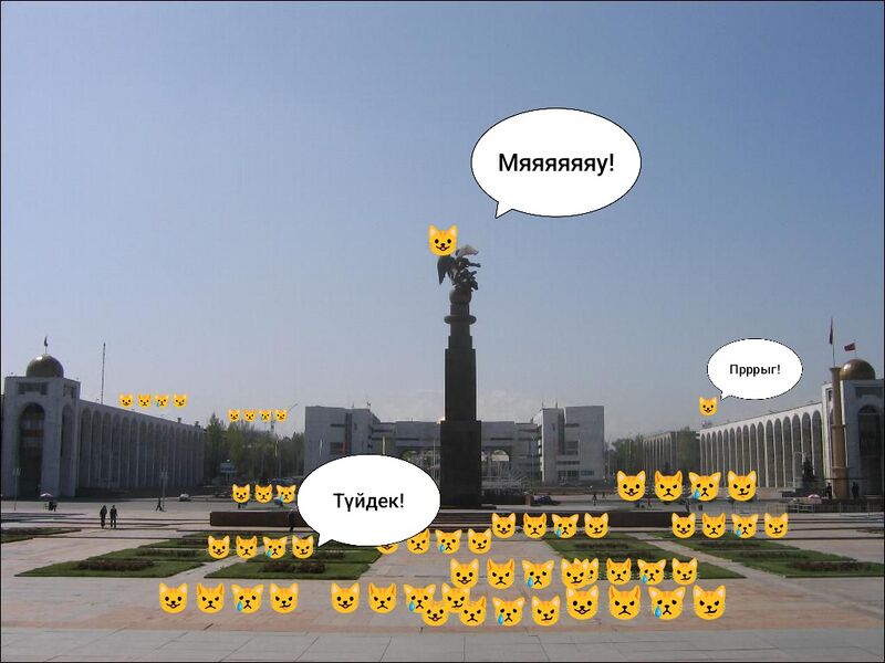 Файл:Коты Киргизии.jpg