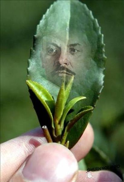 Файл:Tea-lenin.jpg