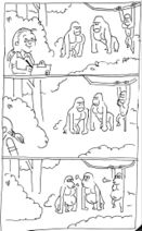 24.1.2026: Суровые гориллы на людях и без них.