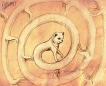 11.8.2019: Кошка, которая гуляла сама по себе.