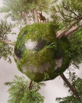 13.9.2019: Личная планета под надёжной охраной.