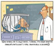 18.1.2026: Научный успех.