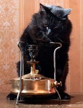 26.9.2022: Чëрный кот и примус — годны в плюс и в минус.