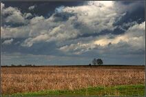 Говорят, будто это автопортрет Этих-Двоих. По всей видимости, они так и не решили, кого же из них рисовать.