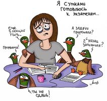 25.1.2020: Учить не стоит с утками даже с «хвостами» жуткими.