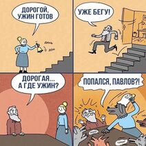 26.1.2024: Месть собаки Павлова.