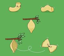 16.6.2019: Жизненный цикл макарон.