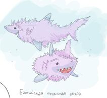 5.6.2021: Путь репутационной эволюции хищных рыб, чтобы понравиться людям.