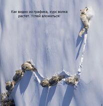 7.5.2022: Биржевой график курса волка.