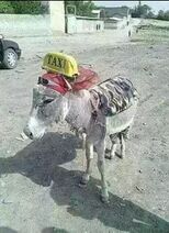 15.1.2024: Такси в Средней Азии.