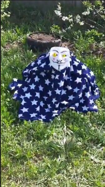 Файл:Лучезарный снюсоед.jpg