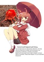 8.2.2023: Моэ-антропоморфизм клеща.