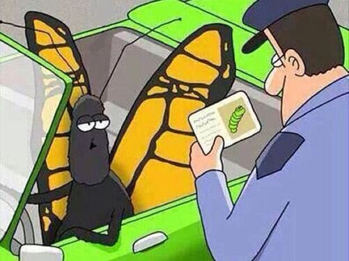 Это старое фото