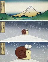 17.5.2022: Достижение вершины.