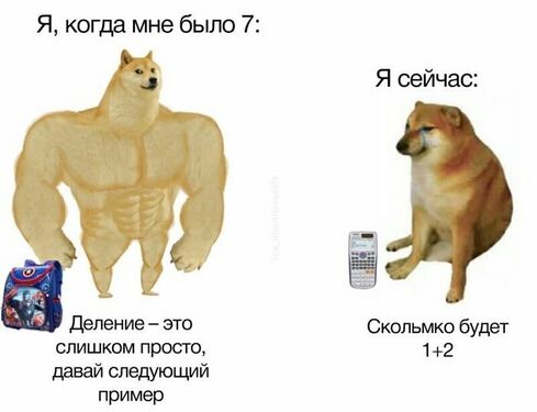 Качок Собакен/Доге и Чимс