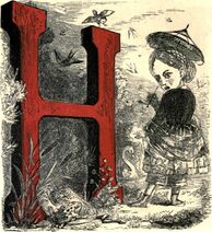 Horror — влюбиться в лягушонка Без королевства за душой. С короной да с монетой звонкой — Другой расклад, невесты в бой!