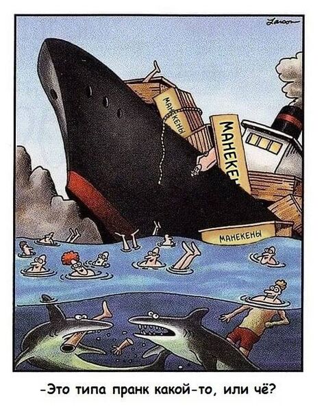 Файл:Акулий-пранк.jpg