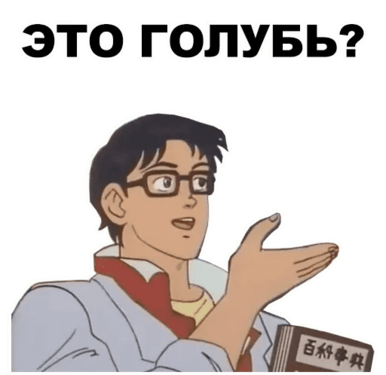 Это голубь?