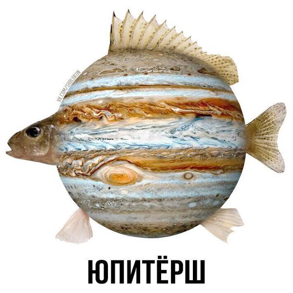 Файл:Юпитёрш.jpg