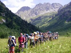 Группа сборщиков хрена высокогорного