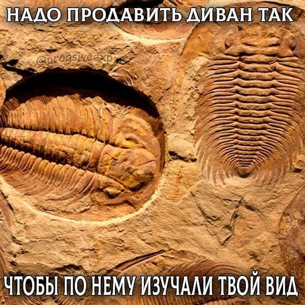 Файл:Увековечивание.jpg
