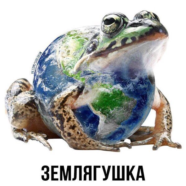 Файл:Землягушка.jpg