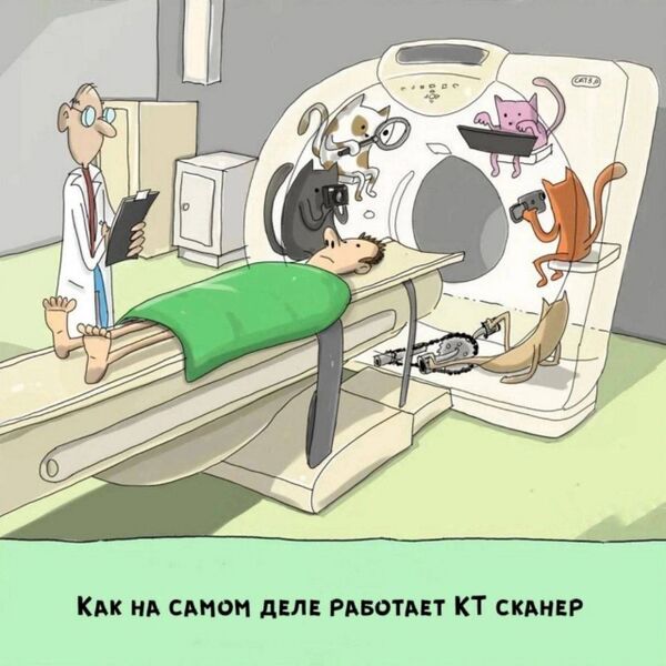 Файл:КТ-сканер.jpg