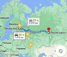 Географическая Лиса. Мегаразмерная.