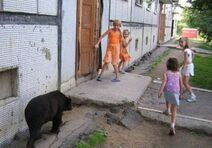 19.5.2019: Обычный день в России.