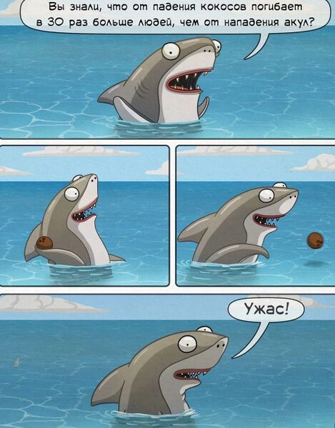 Файл:Акулы-кокосы.jpg