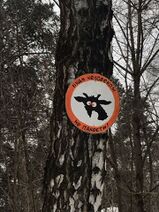 13.2.2019: Не укрыться тебе и в дремучем лесу от того, чтобы быть человеком, desu.