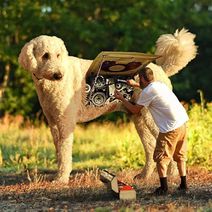 22.1.2020: Профилактика сигнализации.