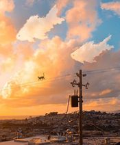 22.9.2020: Облака для котика.