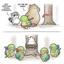 26.7.2020: Истинная причина победы черепахи в спринте.