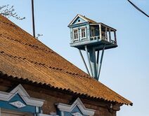 20.9.2018: Скворцы, вернитесь! Хотеть весну!