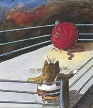 18.5.2023: Бои без правил на кошачьем ринге.