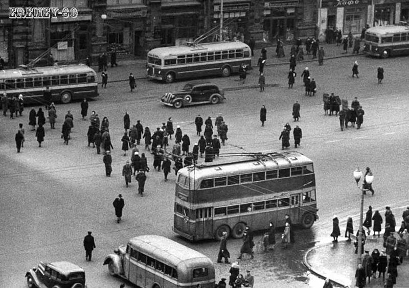 Файл:Н двуяр.jpg