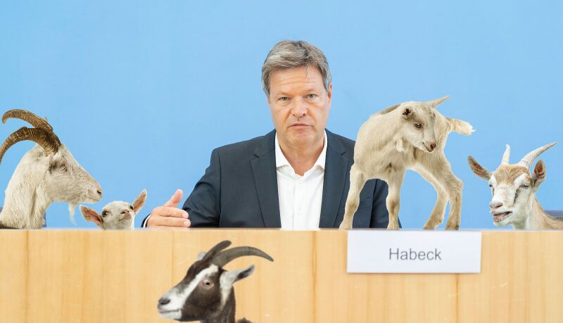 Файл:Habeck-Ziegen.jpg