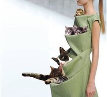 10.8.2019: Платье, утеплённое живым мехом.